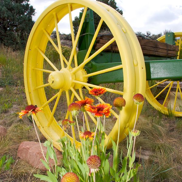 About Lazy J Ranch